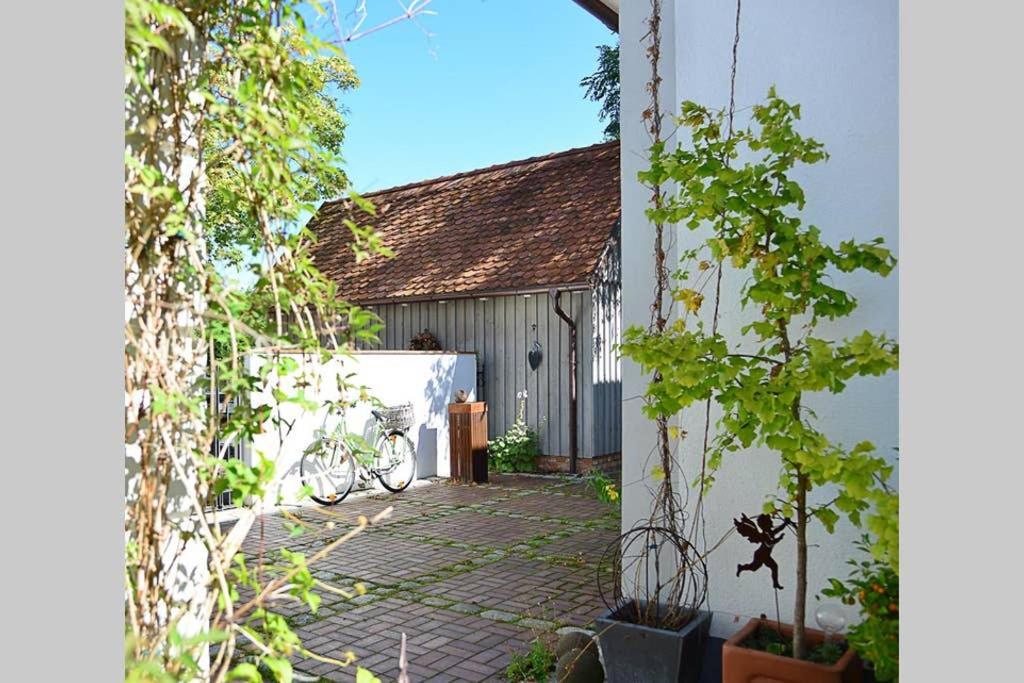 Gaestehaus Kohlberg Kohlberg  Buitenkant foto