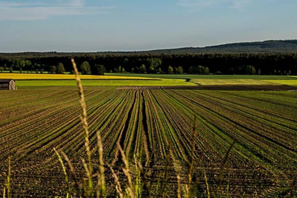 Gaestehaus Kohlberg Kohlberg  Buitenkant foto
